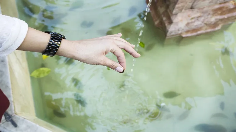 Aquapeutics