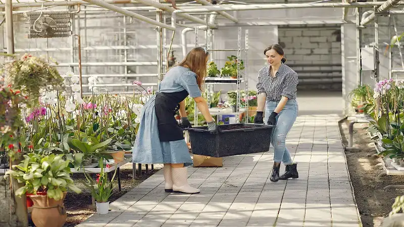 MyGardenAndPatio